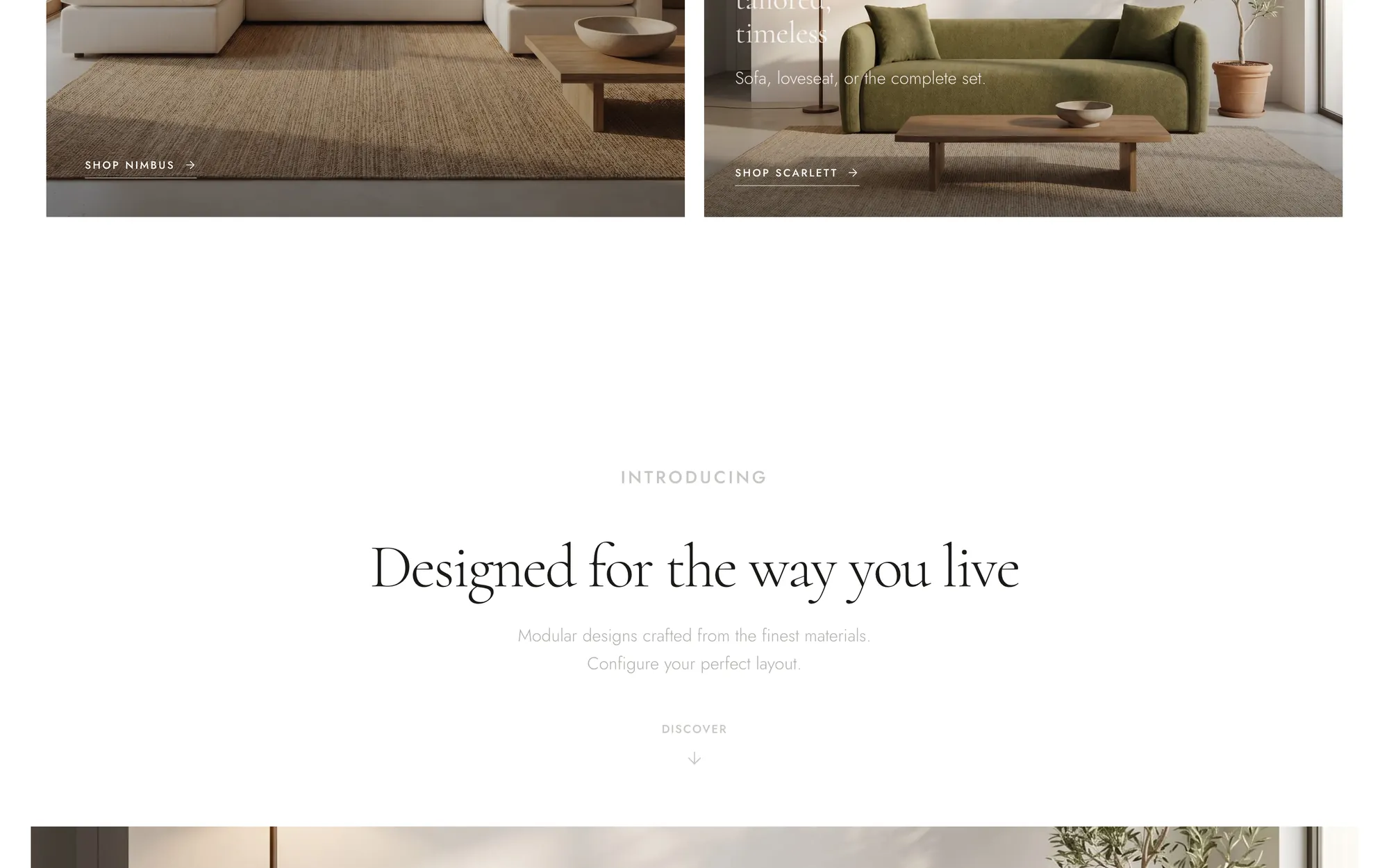 Cocoon Modern section 2